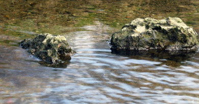ACQUA Giorno 4