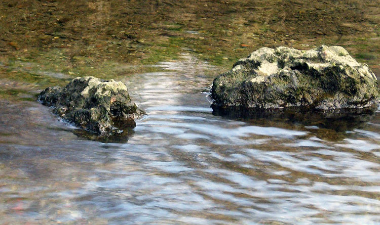 ACQUA Giorno 4