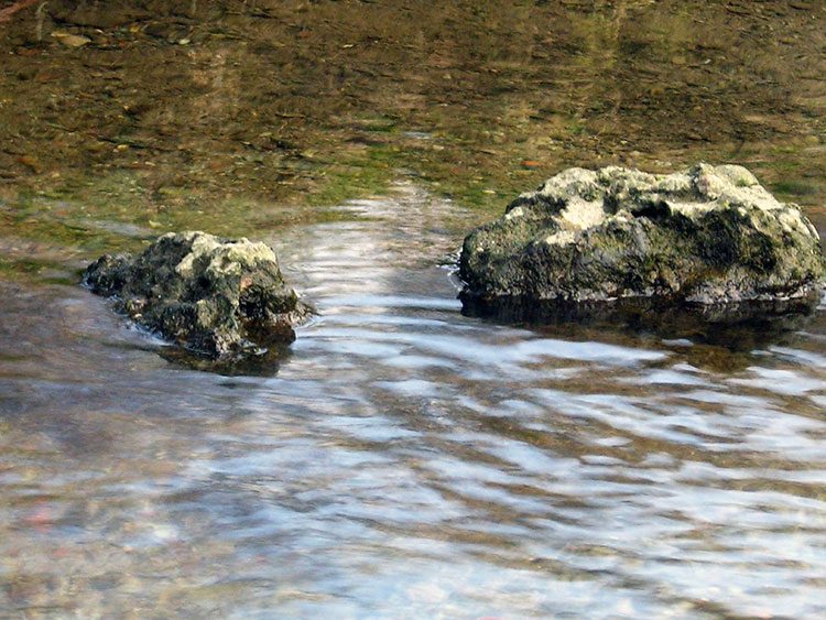 ACQUA Giorno 4