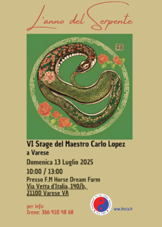 13.07.25 VI Stage del M. Carlo Lopez a Varese