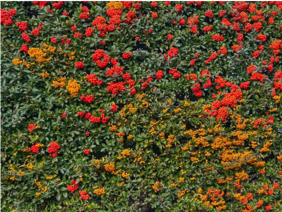 10/2026: Impressioni d’Autunno